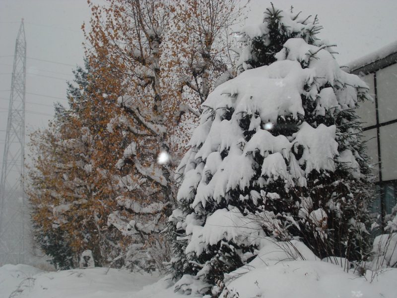 Chutes de neige sur Yverdon-les-Bains