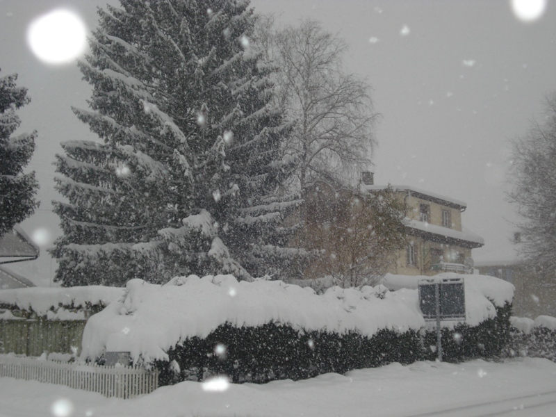 Chutes de neige sur Yverdon-les-Bains