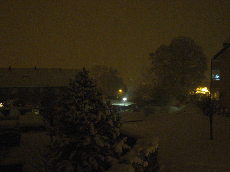 Dernières chutes de neige
