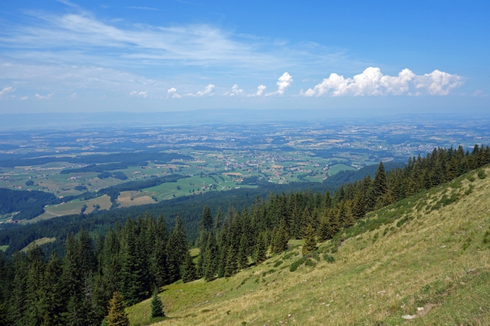 Plateau suisse